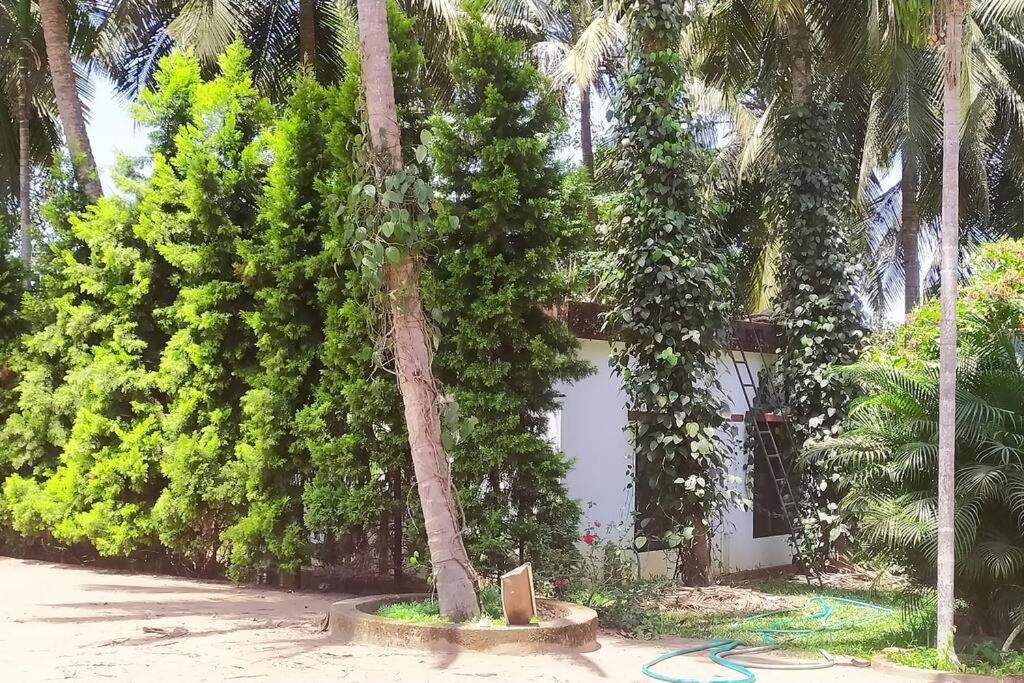 Runnin Airport - Homestay Gurpur Exterior foto