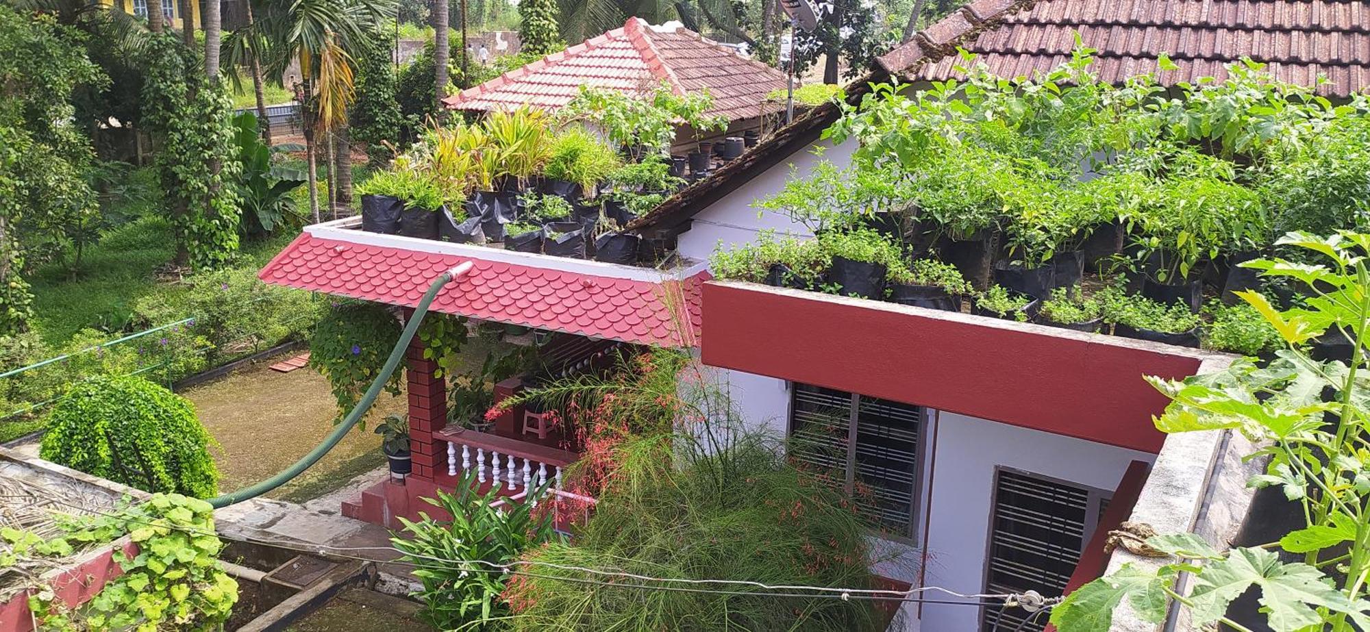 Runnin Airport - Homestay Gurpur Exterior foto